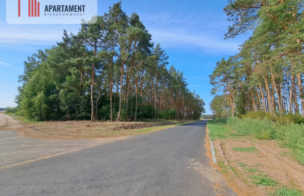 Toporzysko, ul. Kolejowa, pod laskiem