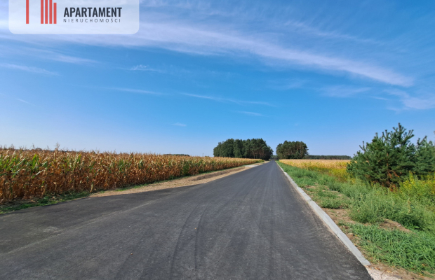 Toporzysko, ul. Kolejowa, pod laskiem