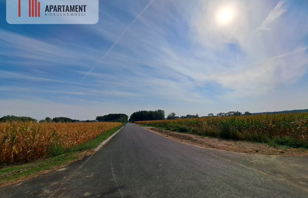 Toporzysko, ul. Kolejowa, pod laskiem