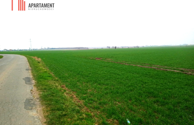 Atrakcyjne działki w Podgórzynie koło Żnina