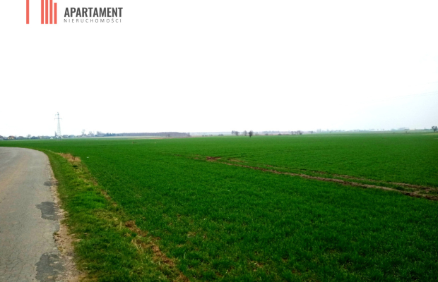 Atrakcyjne działki w Podgórzynie koło Żnina