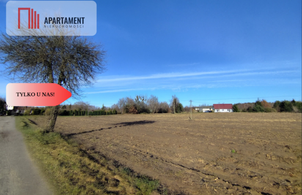 Działka z dużym potencjałem! Blisko natury!
