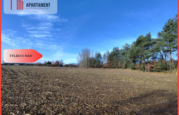 Działka z dużym potencjałem! Blisko natury!
