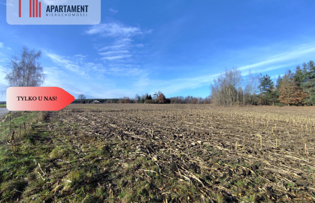 Działka z dużym potencjałem! Blisko natury!