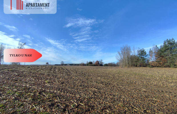 Działka z dużym potencjałem! Blisko natury!