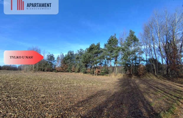 Działka z dużym potencjałem! Blisko natury!