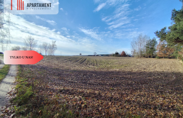 Działka z dużym potencjałem! Blisko natury!