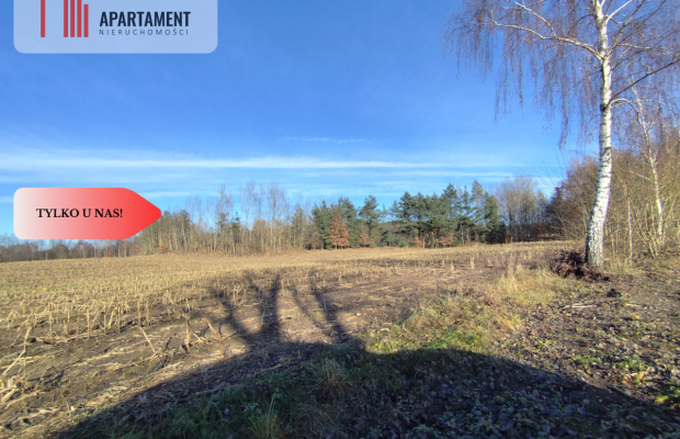 Działka z dużym potencjałem! Blisko natury!