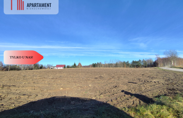 Działka z dużym potencjałem! Blisko natury!