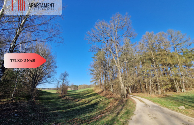 Działka siedliskowa 2 ha w Skorzewie