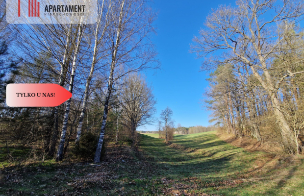 Działka siedliskowa 2 ha w Skorzewie