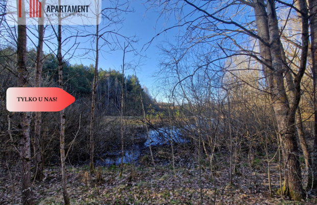 Działka siedliskowa 2 ha w Skorzewie