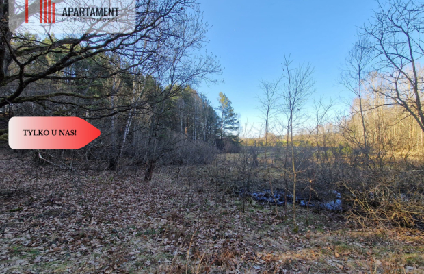 Działka siedliskowa 2 ha w Skorzewie