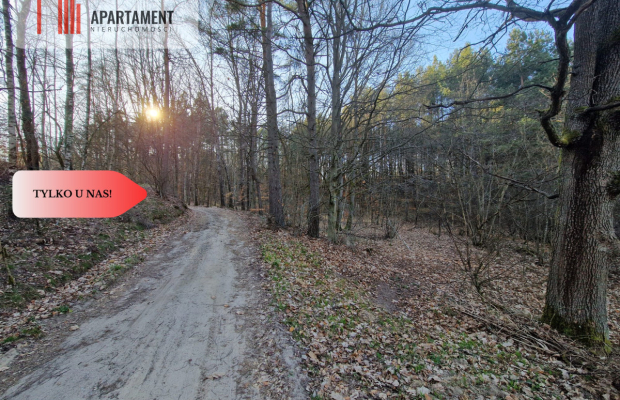 Działka siedliskowa 2 ha w Skorzewie