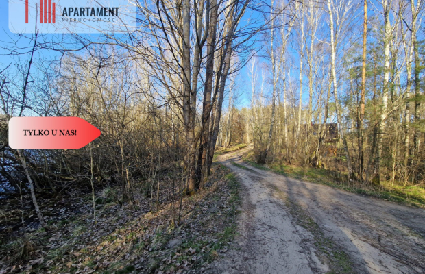 Działka siedliskowa 2 ha w Skorzewie