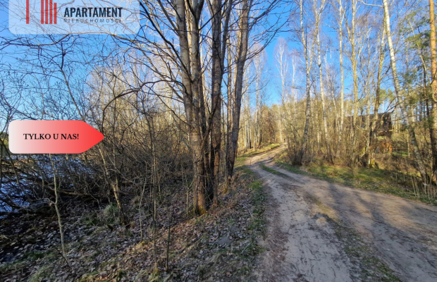 Działka siedliskowa 2 ha w Skorzewie