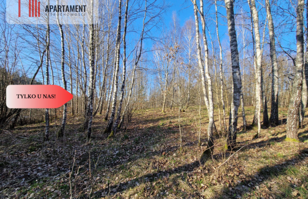 Działka siedliskowa 2 ha w Skorzewie