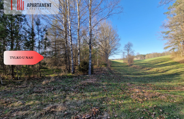 Działka siedliskowa 2 ha w Skorzewie