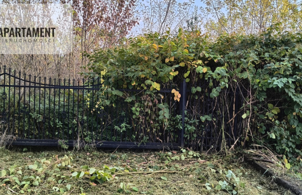 Działka budowlano-usługowa 2430 m² Malbork Kałdowo