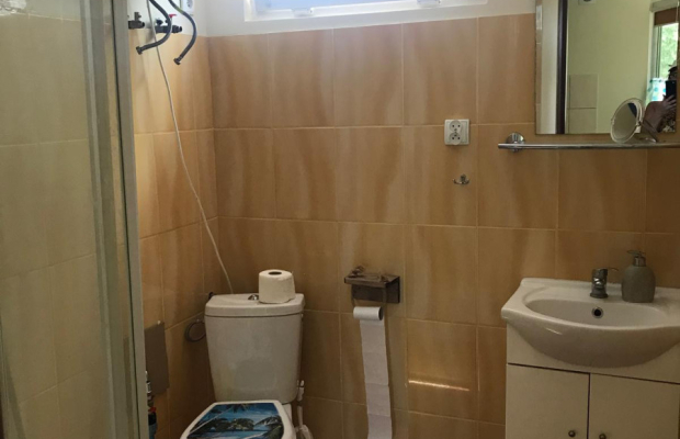 Działka ROD Jedność - świetne położenie