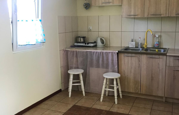 Działka ROD Jedność - świetne położenie