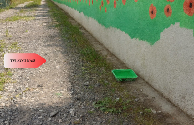 DZIAŁKA Z DOMKIEM CAŁOROCZNYM  BYDGOSZCZ .