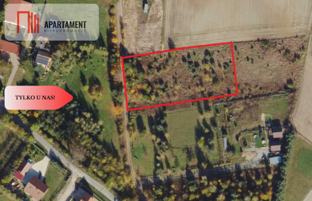 MORZEWIEC 3260m2, WYDANE WZ, CISZA, SPOKÓJ