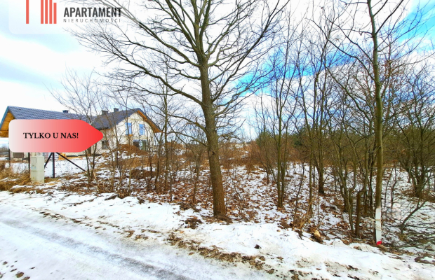 MORZEWIEC 3260m2, WYDANE WZ, CISZA, SPOKÓJ