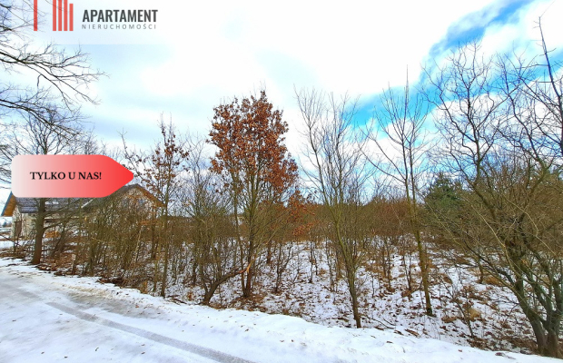 MORZEWIEC 3260m2, WYDANE WZ, CISZA, SPOKÓJ