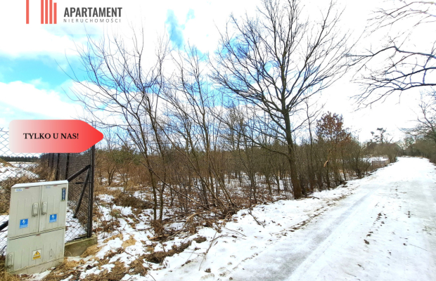 MORZEWIEC 3260m2, WYDANE WZ, CISZA, SPOKÓJ