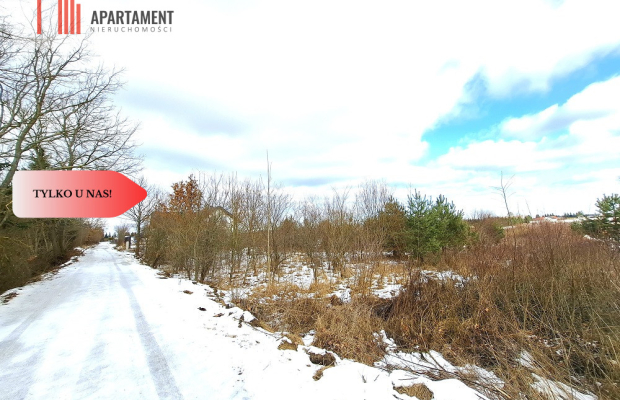 MORZEWIEC 3260m2, WYDANE WZ, CISZA, SPOKÓJ