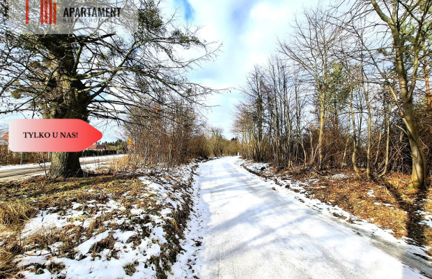 MORZEWIEC 3260m2, WYDANE WZ, CISZA, SPOKÓJ