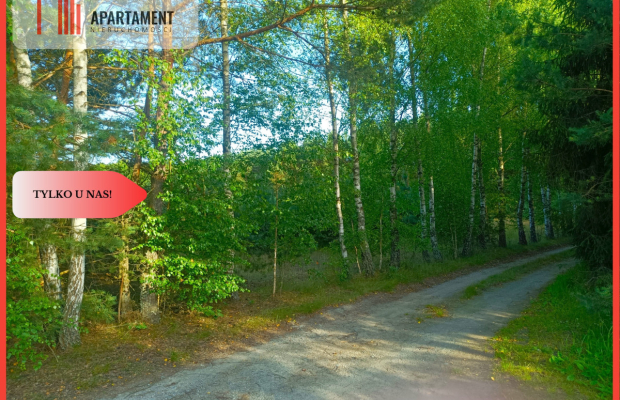 TYLKO U NAS !!! UTULONA CISZĄ W SERCU BORÓW