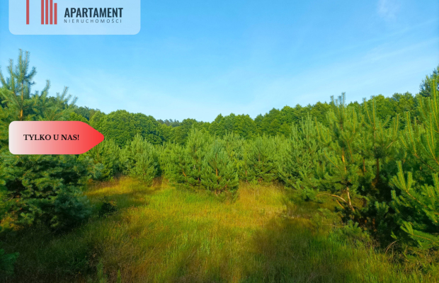 TYLKO U NAS !!! UTULONA CISZĄ W SERCU BORÓW