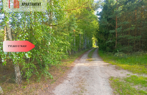 TYLKO U NAS !!! UTULONA CISZĄ W SERCU BORÓW