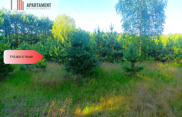 TYLKO U NAS !!! UTULONA CISZĄ W SERCU BORÓW