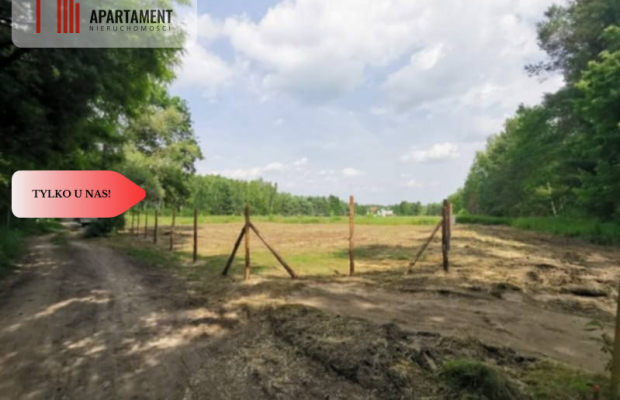 1222 m2 z widokiem na las!