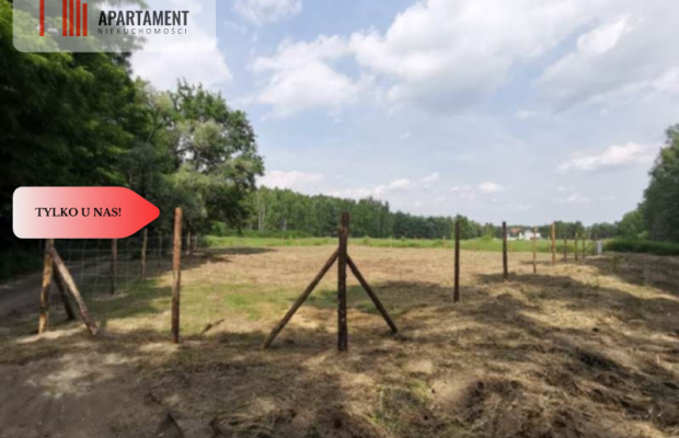 1222 m2 z widokiem na las!