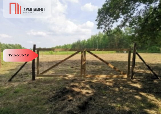 1222 m2 z widokiem na las!