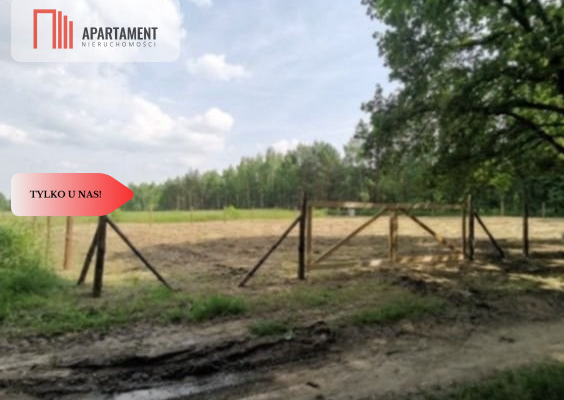 1222 m2 z widokiem na las!