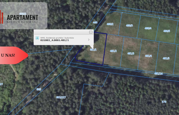 1222 m2 z widokiem na las!