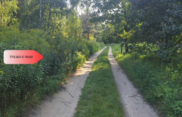 1222 m2 z widokiem na las!