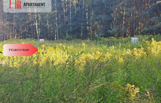 1222 m2 z widokiem na las!