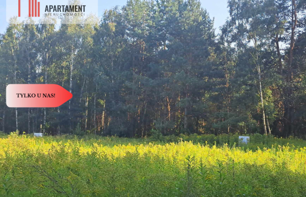 1222 m2 z widokiem na las!