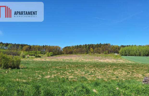 Działka 2500 m2 Czernikowice przy lesie