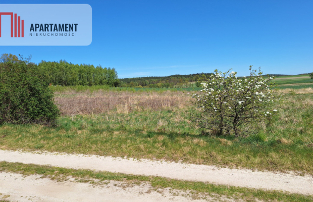 Działka 2500 m2 Czernikowice przy lesie