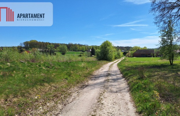 Działka 2500 m2 Czernikowice przy lesie