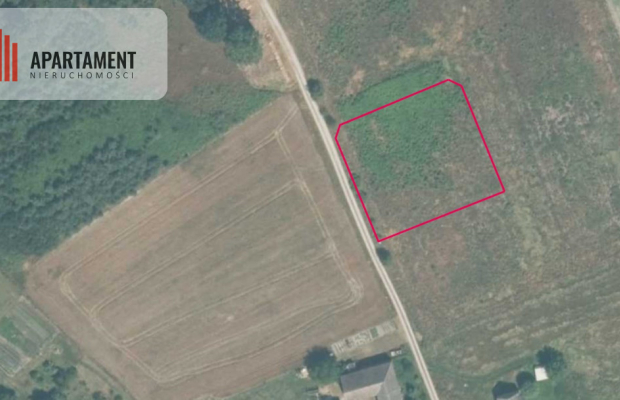 Działka 2500 m2 Czernikowice przy lesie