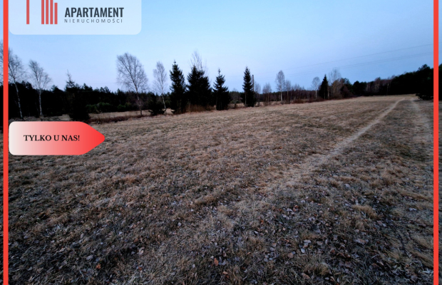 Spokojna okolica, blisko lasu!