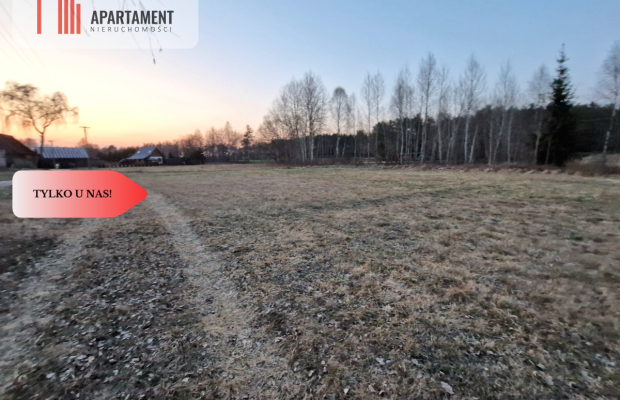 Spokojna okolica, blisko lasu!